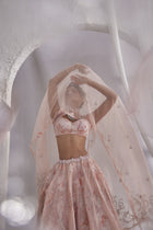 Rosé Veil Ensemble
